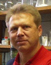 Alexander O. Terent’Ev