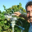 Francisco De Almeida Lobo