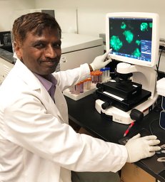 Vinagolu Rajasekhar