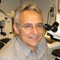 Victor Corces