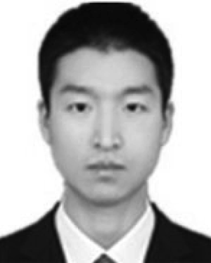 Ruopu Zhu