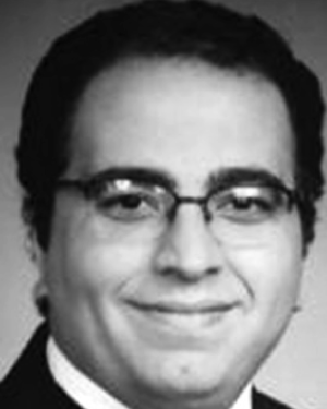 Sherif E Abdelhamid