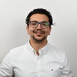 Waleed M Kholosy