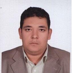 Ayman Awad Ali Abdel Razik