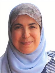 M. Shaheen