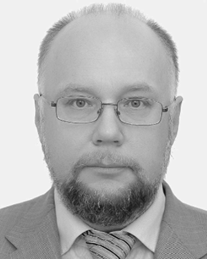 Vladimir I. Shashkin