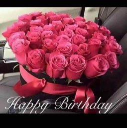 Noha A. Ahmed