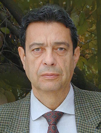 Manuel Elices Calafat