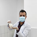 Yavuz Yasul