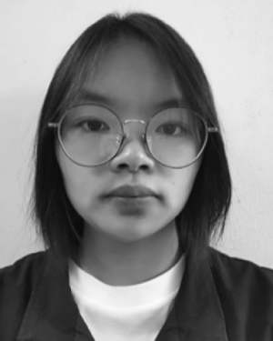 Hong-Mei Peng