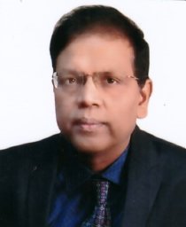 Mukurdipi Ray