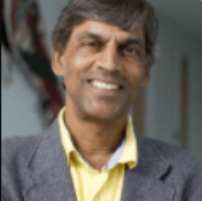 Ram Mudambi