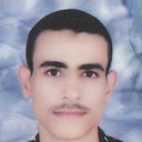 Bahgat R M Hussein