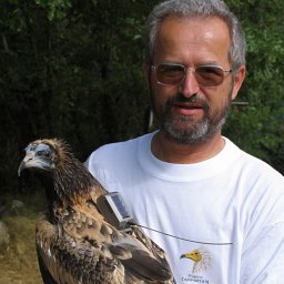 Guido Ceccolini