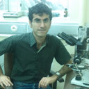 Soheil Soltani