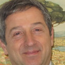 Fabio Pollice