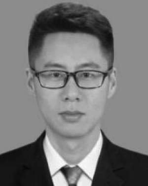 Qinglin Li