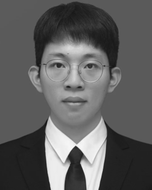 Qijun Dai