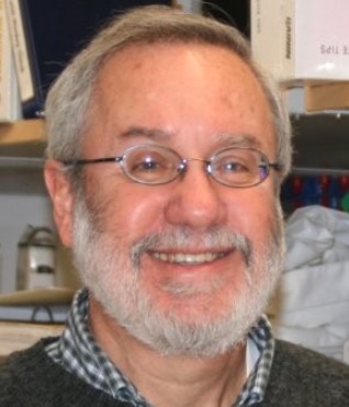 Michael Zigmond