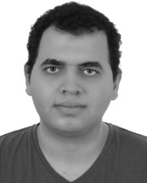 Mahmoud Saad Abouamer