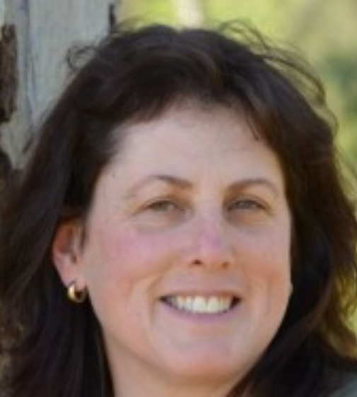 Wendy Hamood