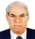 Ahmed M. Abdel Elkhalek