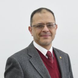 Amr B. Eltawil