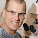 Henrik Gezelius