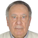 Yu. P. Turov