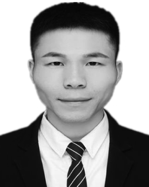 Baolong Zhu