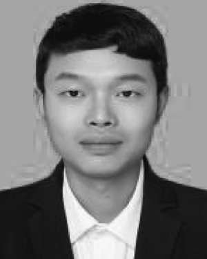 Yuanfei Zhu