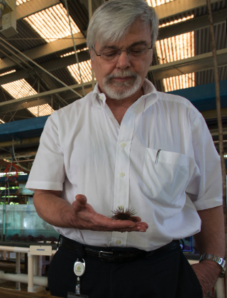 Harilaos Lessios