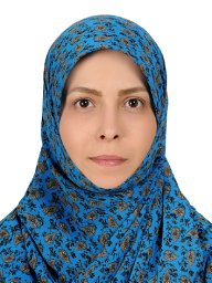 Hajiahmadi Zahra