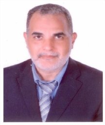 Safwat Hassaballa
