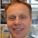 Jan Holgersson