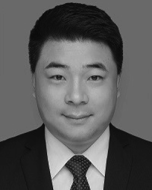 Mingqiang Li