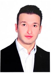 Mosallaei Navid