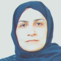 Farideh Nejat