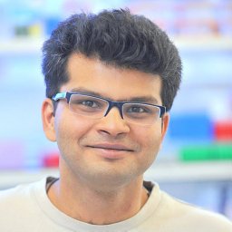 Mukherjee Diptendu