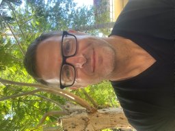 Paul A. Hamer