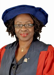 Bisola O.I Onajin-Obembe