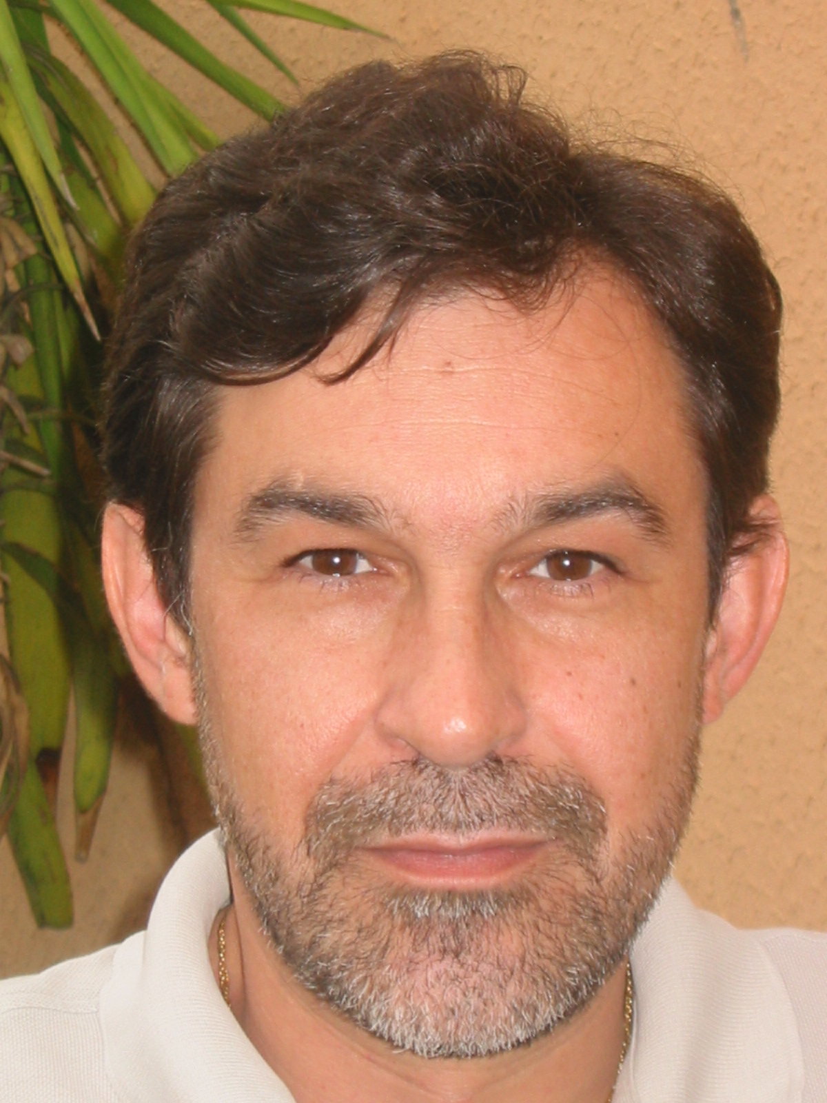 Senard J M
