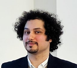 Moein Mohammadi
