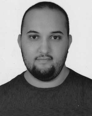 Ali Elgazar