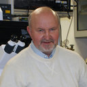 Nikolai Gorbunov