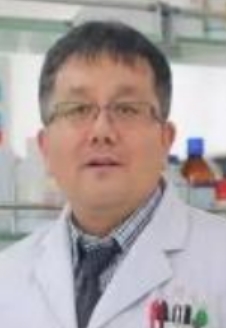 Hong Ni