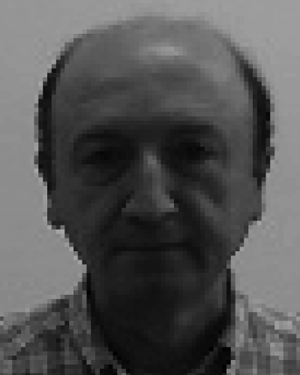 Luca Podestà