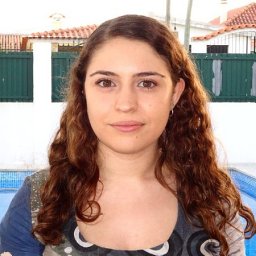Andreia F. M. Santos
