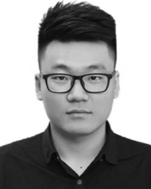Qiang Fu