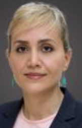Naz Havaei